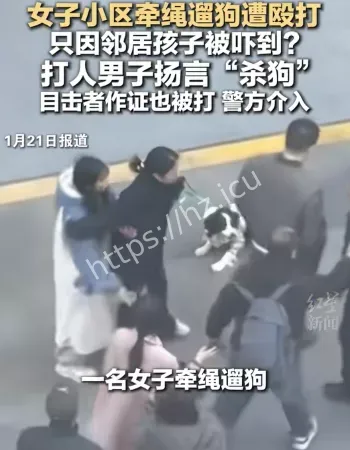 女子遛狗被围殴